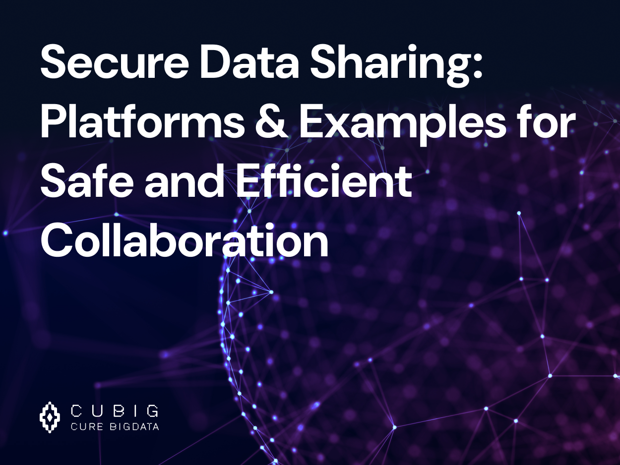 Secure Data Sharing: Platforms & Examples for Safe and Efficient Collaboration