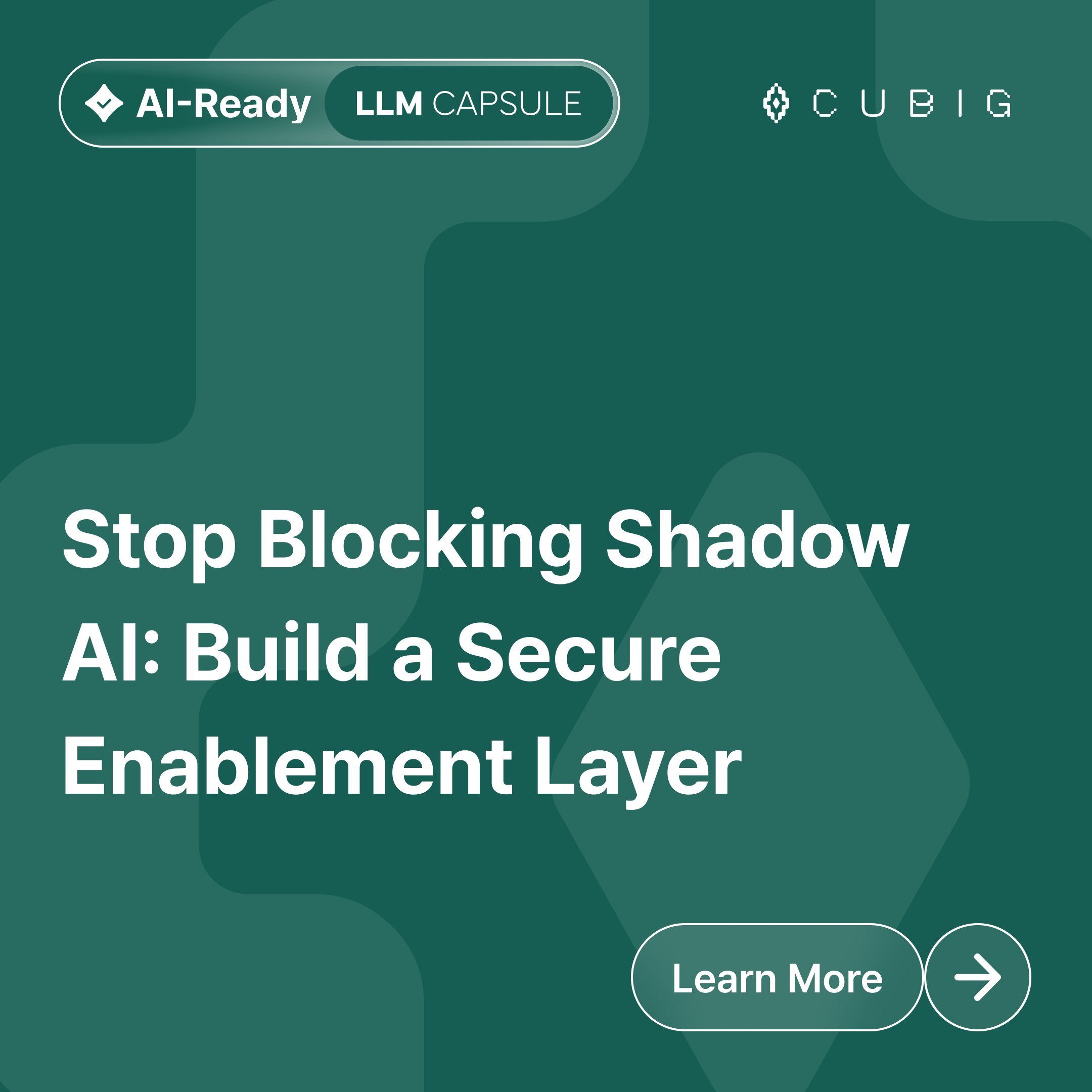 CUBIG LLMCapsule Card - Stop Blocking Shadow AI: Build a Secure Enablement Layer